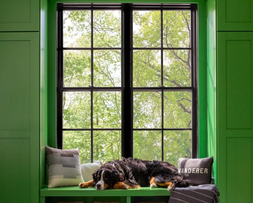 pella lifestyle series double hung window black interior with dog sleeping pella lifestyle series double hung window black interior with dog sleeping