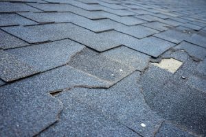 roof repair Littleton co